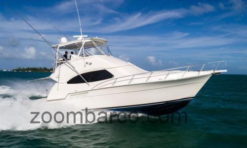 Bertram 450 Convertible ficha tecnica 